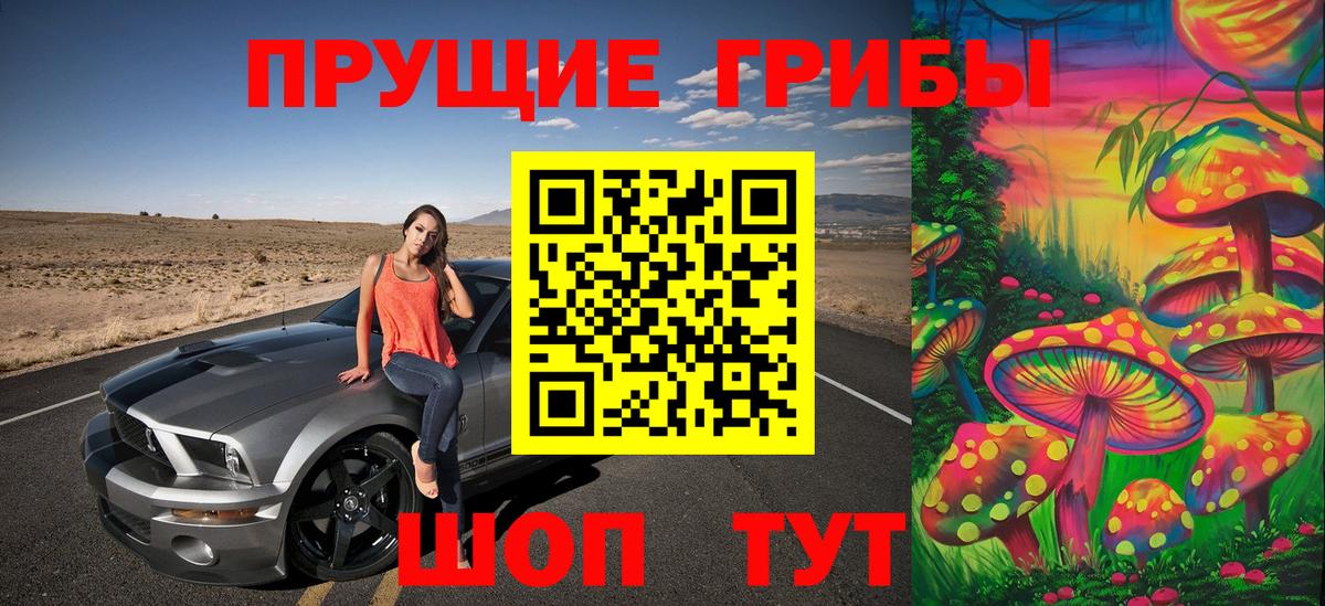 Галлюциногенные грибы GOLDEN TEACHER Ишим